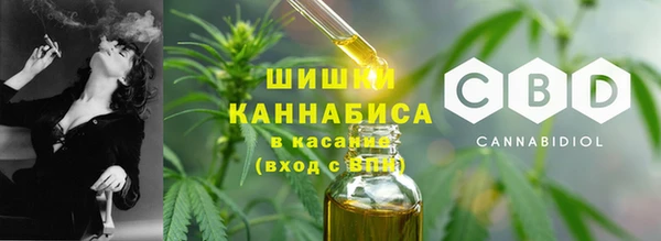 ECSTASY Дмитриев