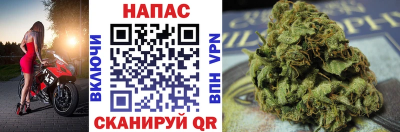 Бошки Шишки семена  Купить где  Игра 